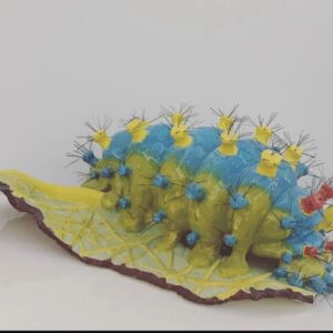 The hungry caterpillar- Artist Name Amanda Ovington